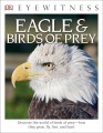 Eagle & birds of prey